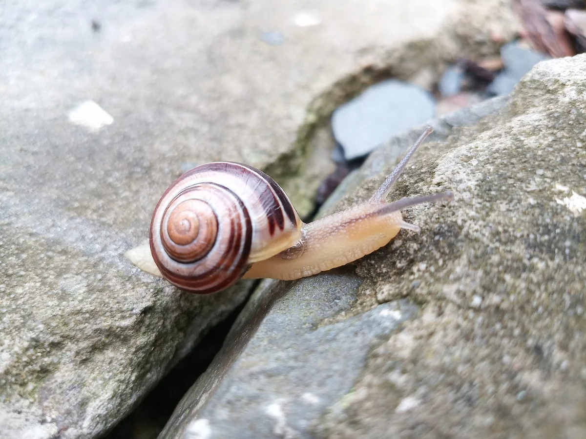 Haltbarkeit und Lagerung: So hält dein Slime länger