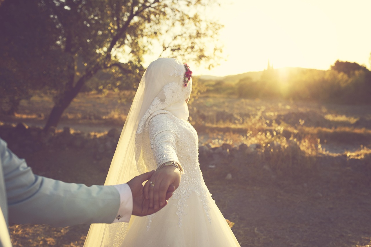 entdecken sie umfassende informationen und nützliche einblicke zu verschiedenen titeln in unserem aktuellen angebot.