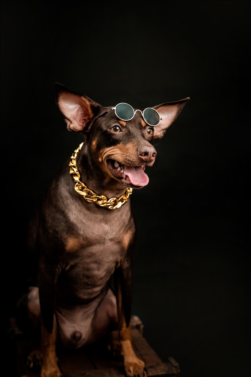 entdecken sie unsere stylischen sonnenbrillen, die perfekten begleiter f&uuml;r sonnige tage. sch&uuml;tzen sie ihre augen und setzen sie modische akzente mit hochwertigen designs.